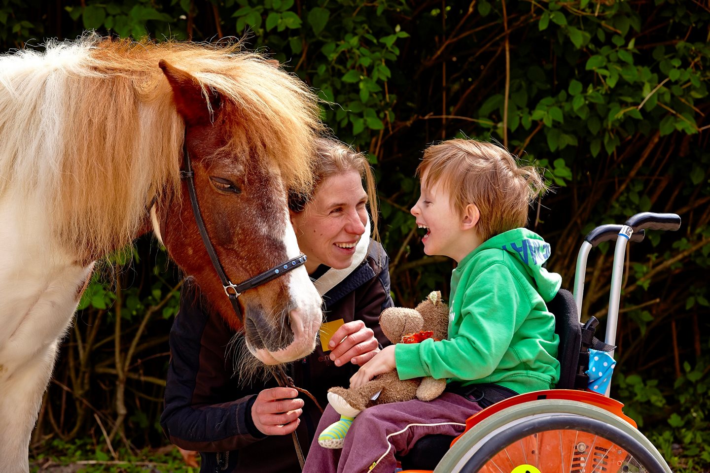 Willkommen am e.motion LICHTBLICKHOF!