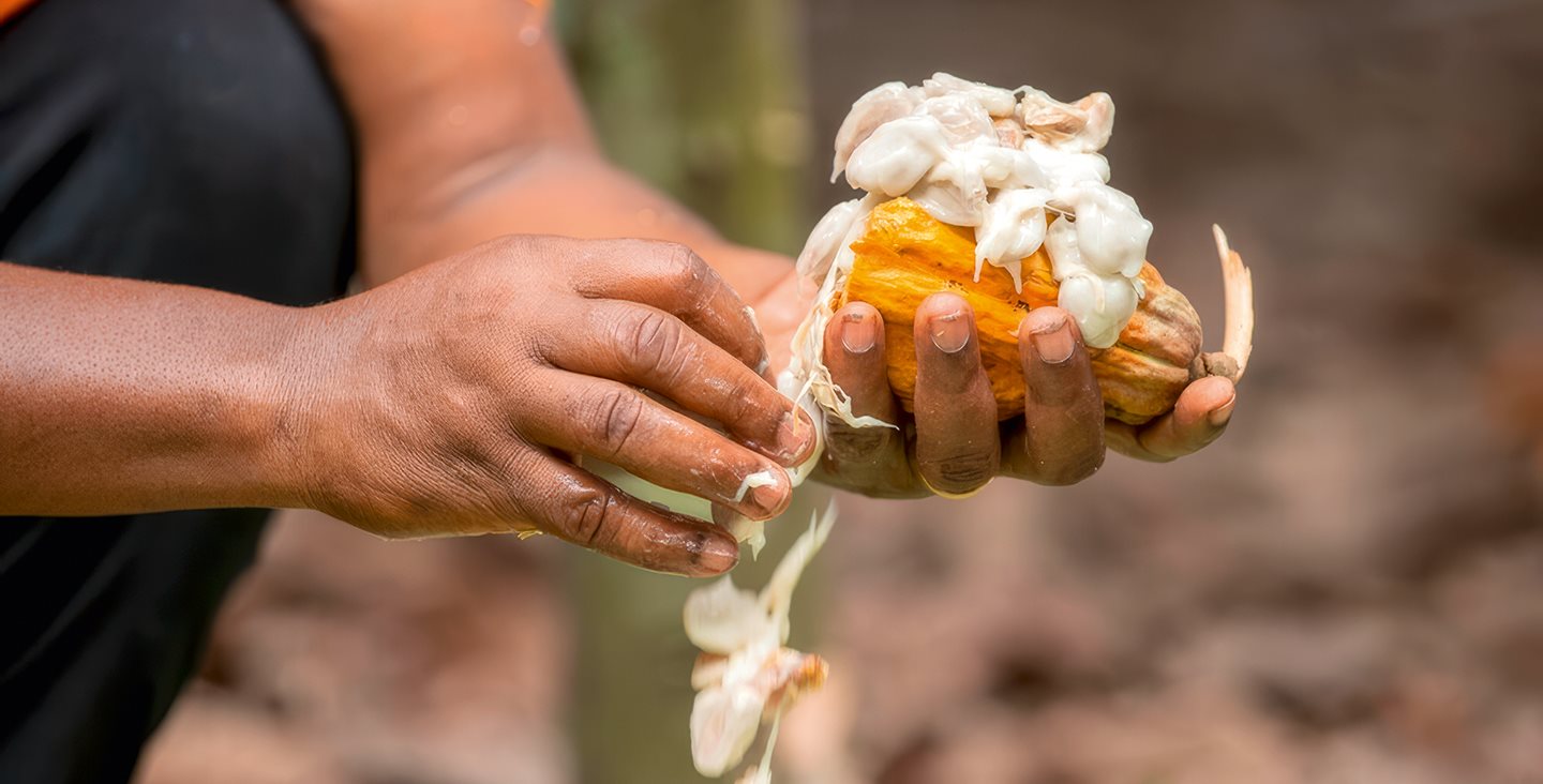 Verantwortungsvolle Wertschöpfungsketten