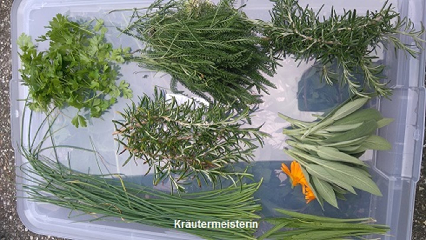 Natur mit allen Sinnen erleben 