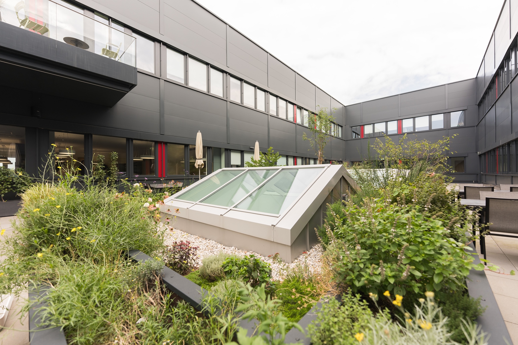 In einem Innenhof eines Bürogebäudes sieht man eine begrünte Anlage.