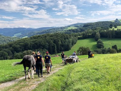 Umzugstage: Mithelfen am Lichtblickhof!