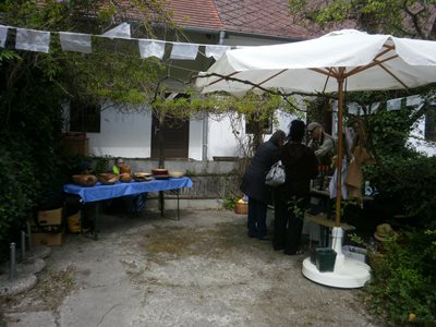 Rückblick: Von Brennesselkekse bis Wildkräuterpalatschinken, so war das Walpurgisfest in Kronberg 2019