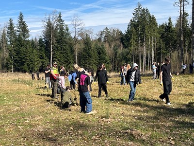Waldbildung - Wertschätzung für Mensch und Natur