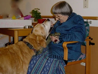 Tiere als Therapie  - 35 Jahre gelebte Mensch-Tierbeziehung