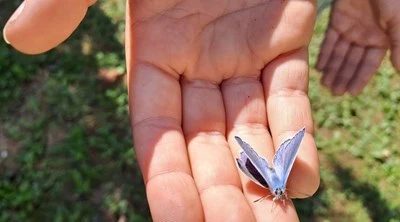 NATURSTARK: Gemeinsam Natur schützen und Zukunft gestalten