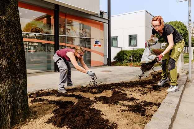 Garten Arbeit dm Mitarbeiter