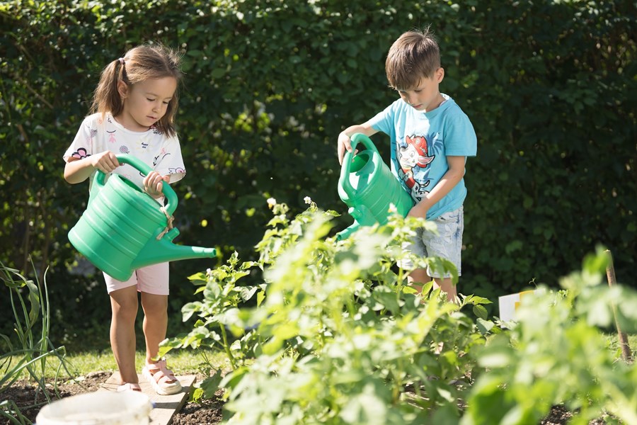 Zwei Kinder gießen Gemüsebeete mit einer Gießkanne.