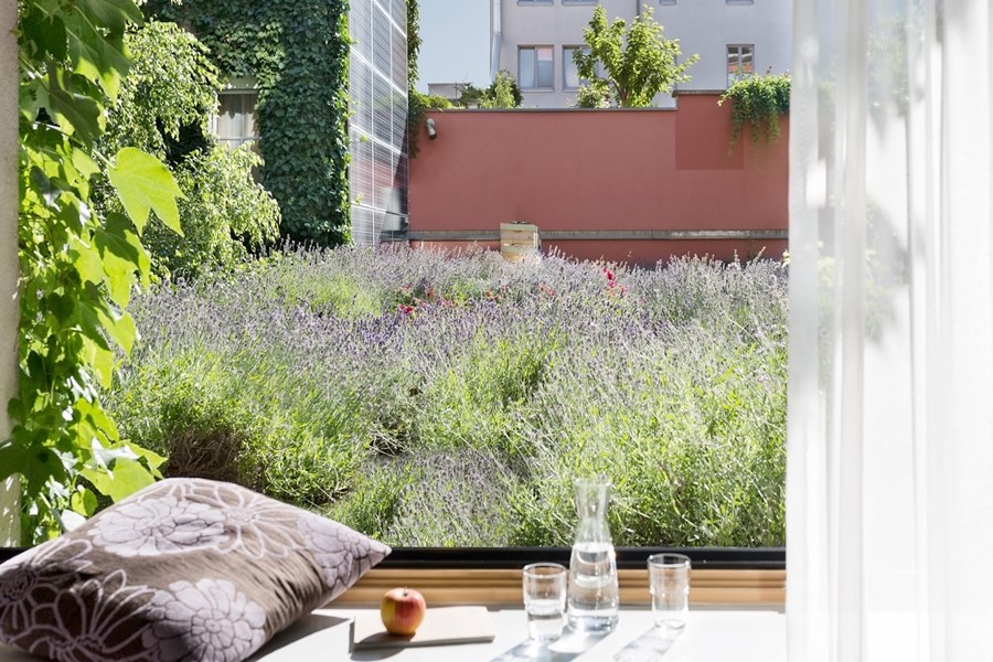 {Miteinander) Zukunftsfähigkeit